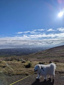 How To Walk The Summit Trail At Divis Mountain, Belfast