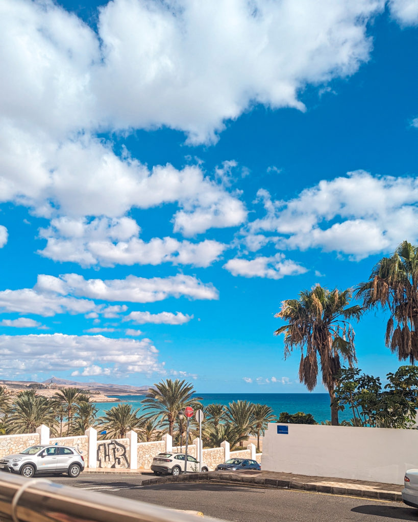 a view towards the beach at costa calma with palm trees and dotted white clouds.