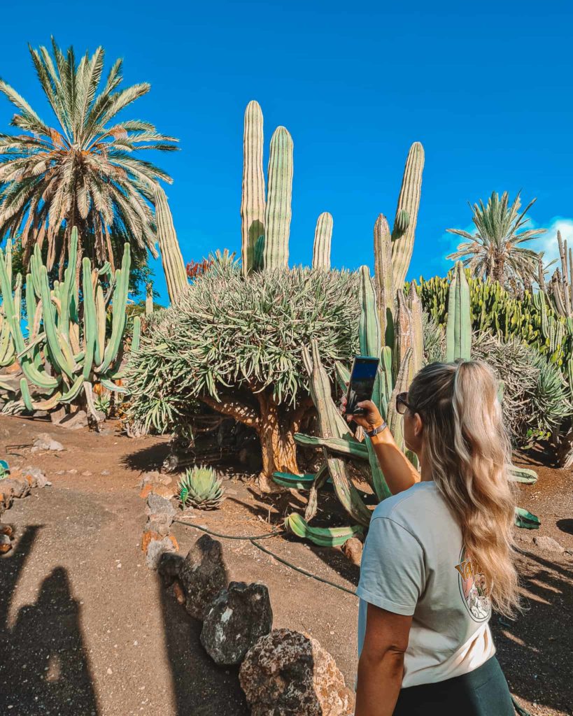 Botanical Gardens in La Lajita