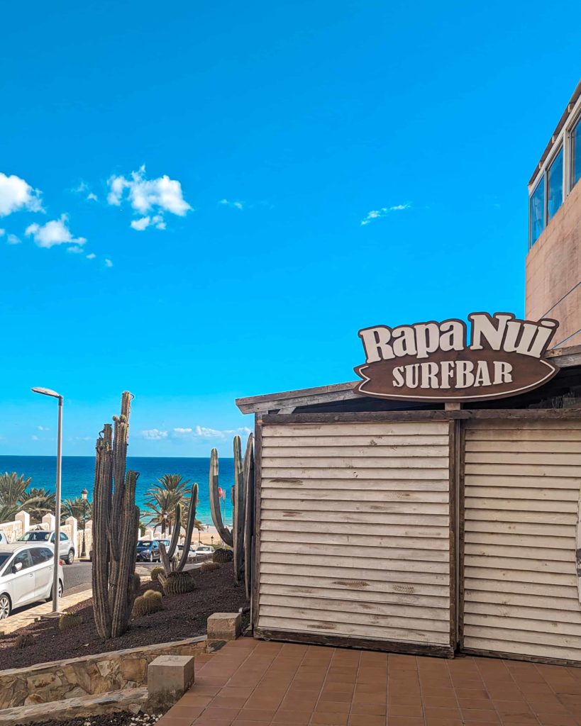 The Rapa Nui SurfBar sign, with cactuses beside it and a blue sky in the background.