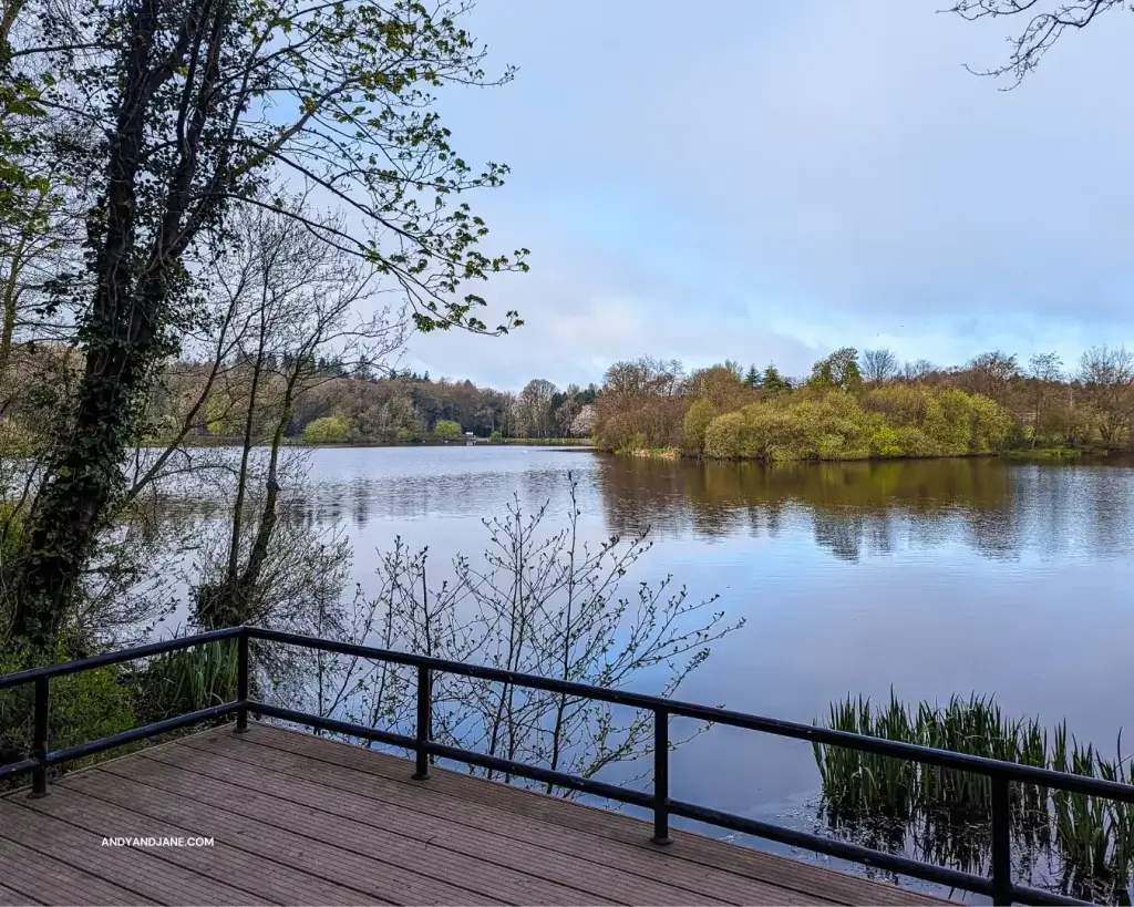 overlooking the lake at Hillsborough Forest Park in Northern Ireland