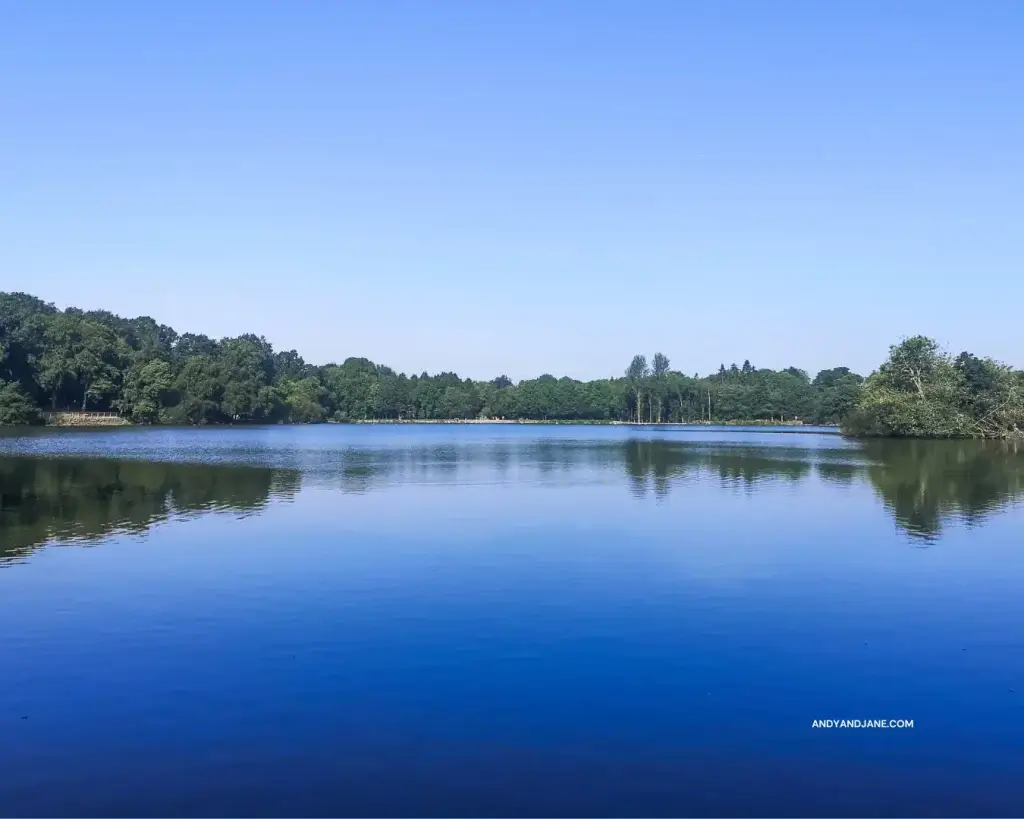 the lake at hillsborough forest park