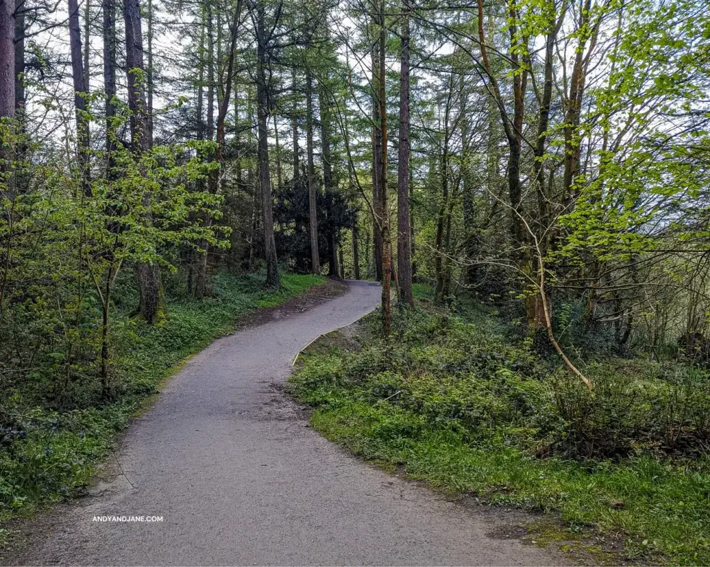 the lake walk trail at the park