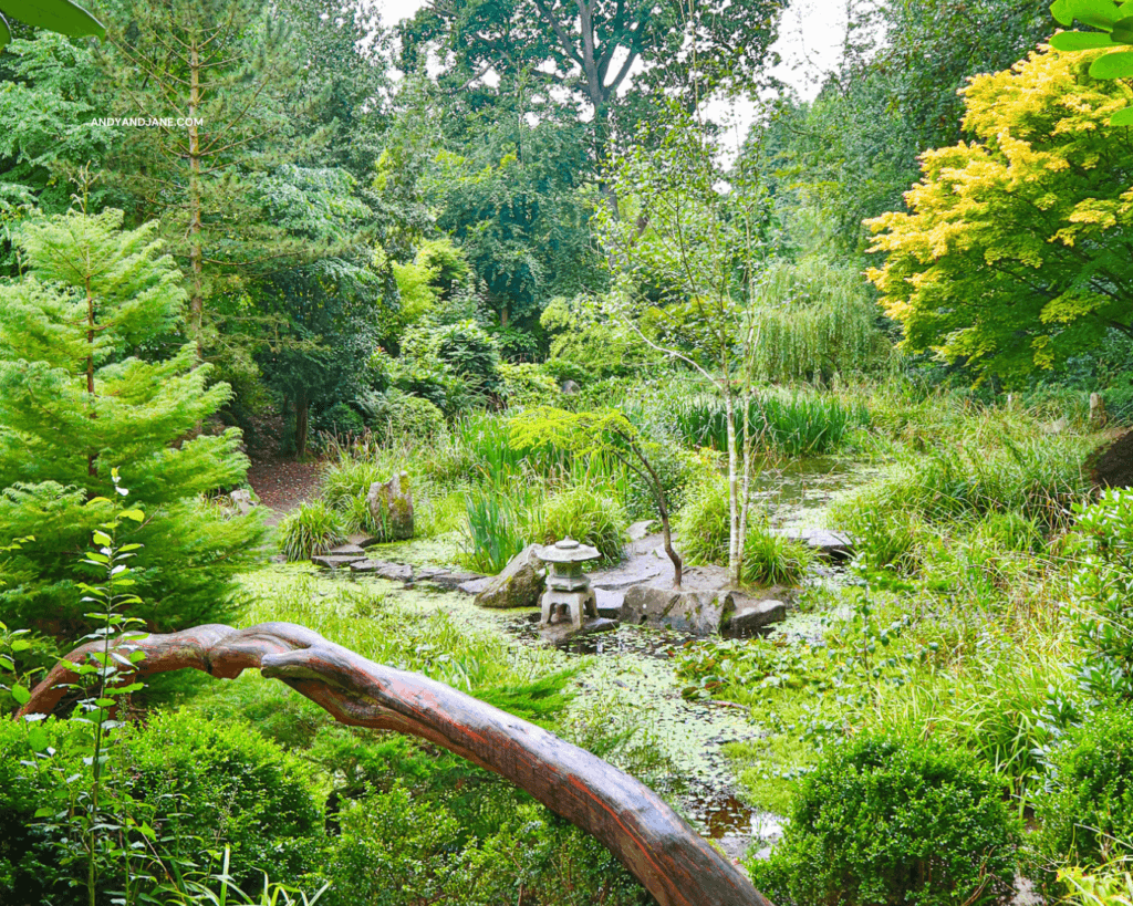 Japanese Gardens at Lady Dixon Park