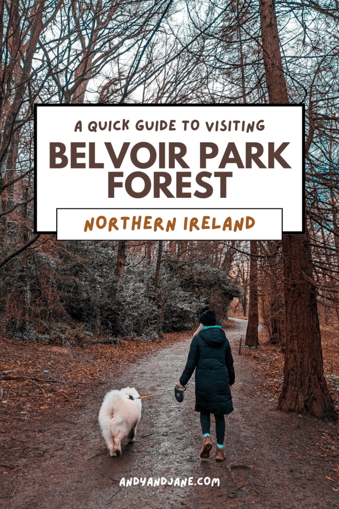 A pinterest graphic with the title 'A Quick Guide To Visiting Belvoir Park Forest, Northern Ireland' with a picture of Jane walking our dog Luka in the back ground.