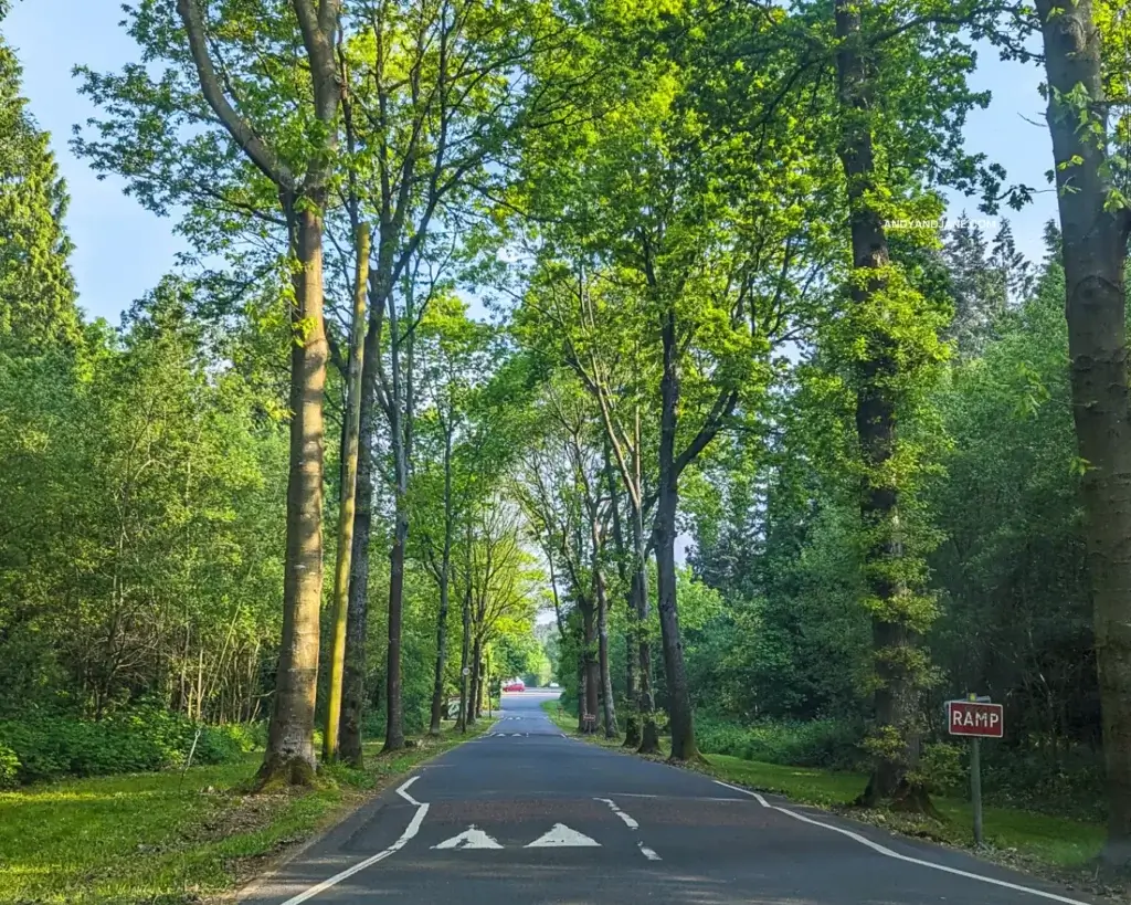 The tree-lined road leading up to the car park at Belvoir Forest Park in Belfast. A sign saying 'ramp' sits to the side.