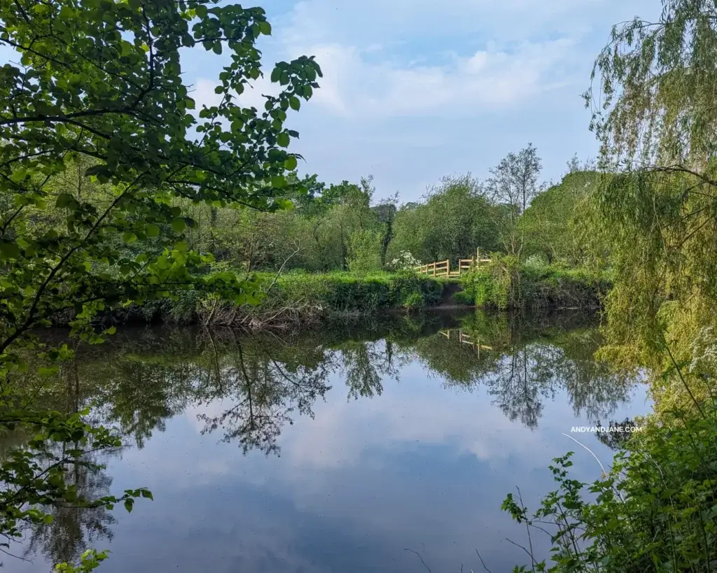 Overlooking the River Lagan, framed by trees & green leaves. 