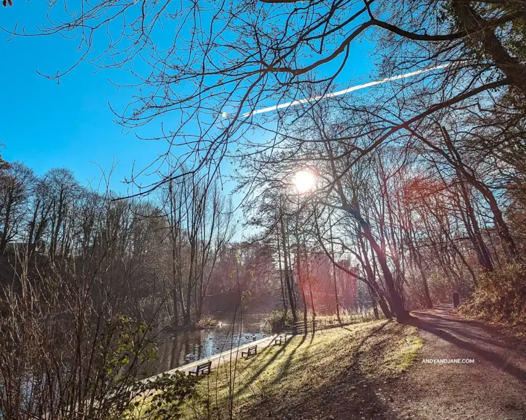 Tree-lined paths in Duncan's Park overlooking the lake, the sun shining above.