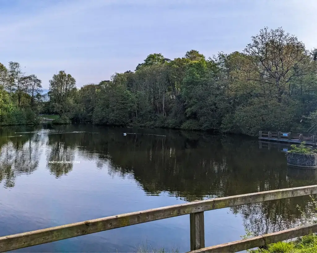 The lake in Duncan's Park, nestled amidst lush trees and enclosed by a fence, creating a picturesque scene of tranquillity.