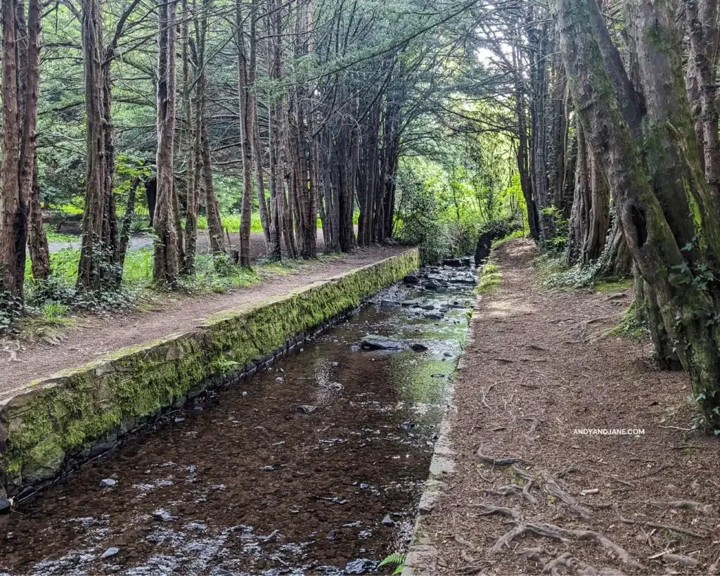 A serene stream flowing through a lush forest in the heart of Belvoir Park in Belfast, creating a tranquil and picturesque scene.