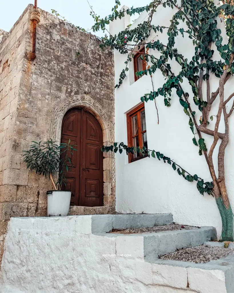 Steps to a large mahogany door in Lindos with ivy covering the whitewashed wall.