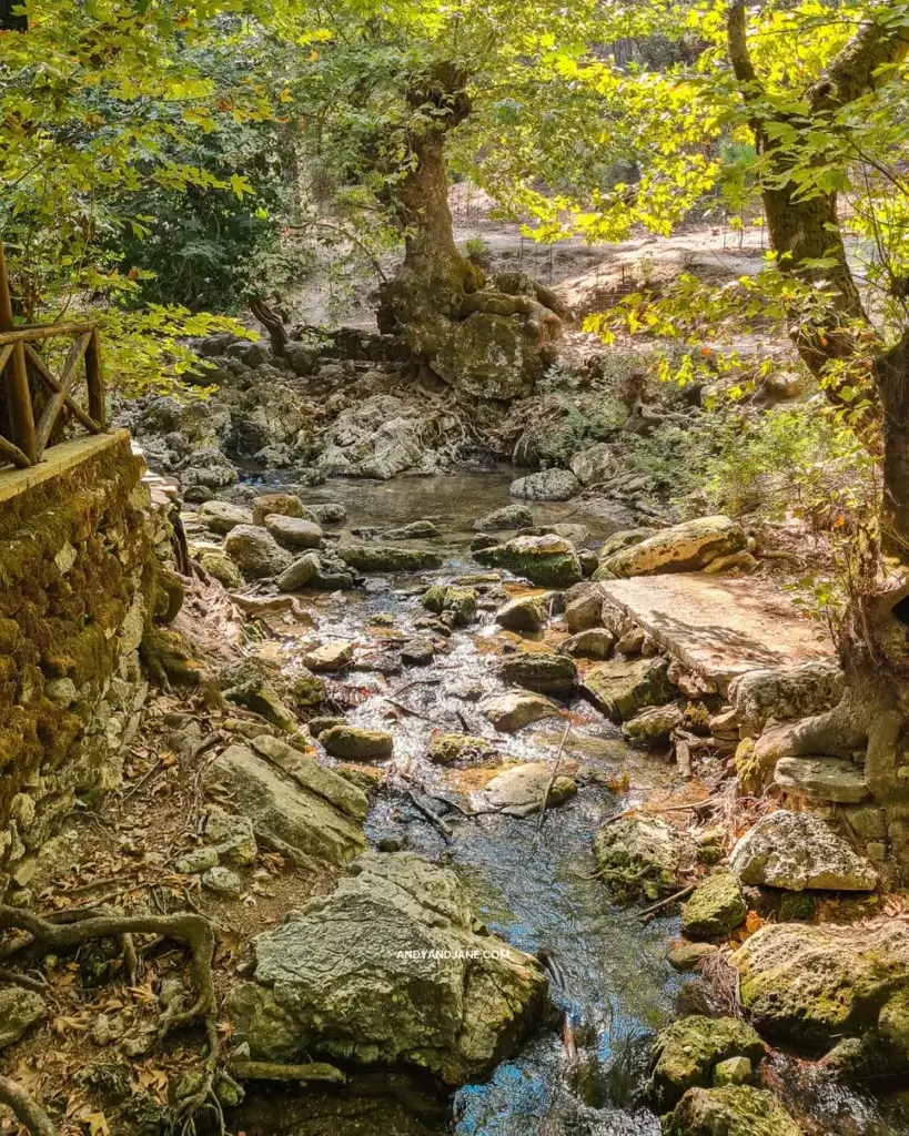 Water flowing down a small river with trees surrounding it.