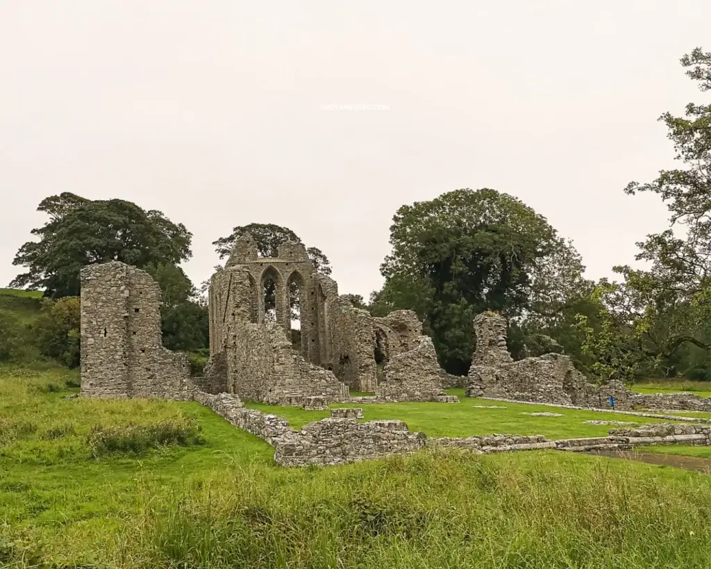 The ruins and remnants of the abbey in a field in Downpatrick. Green trees towering over it in the background.