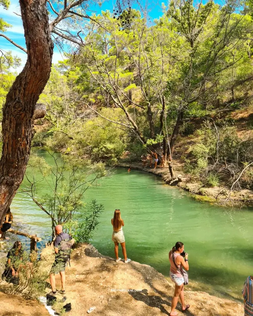 A crowd watching young people swing on a rope into the lake at Seven Springs in Rhodes.