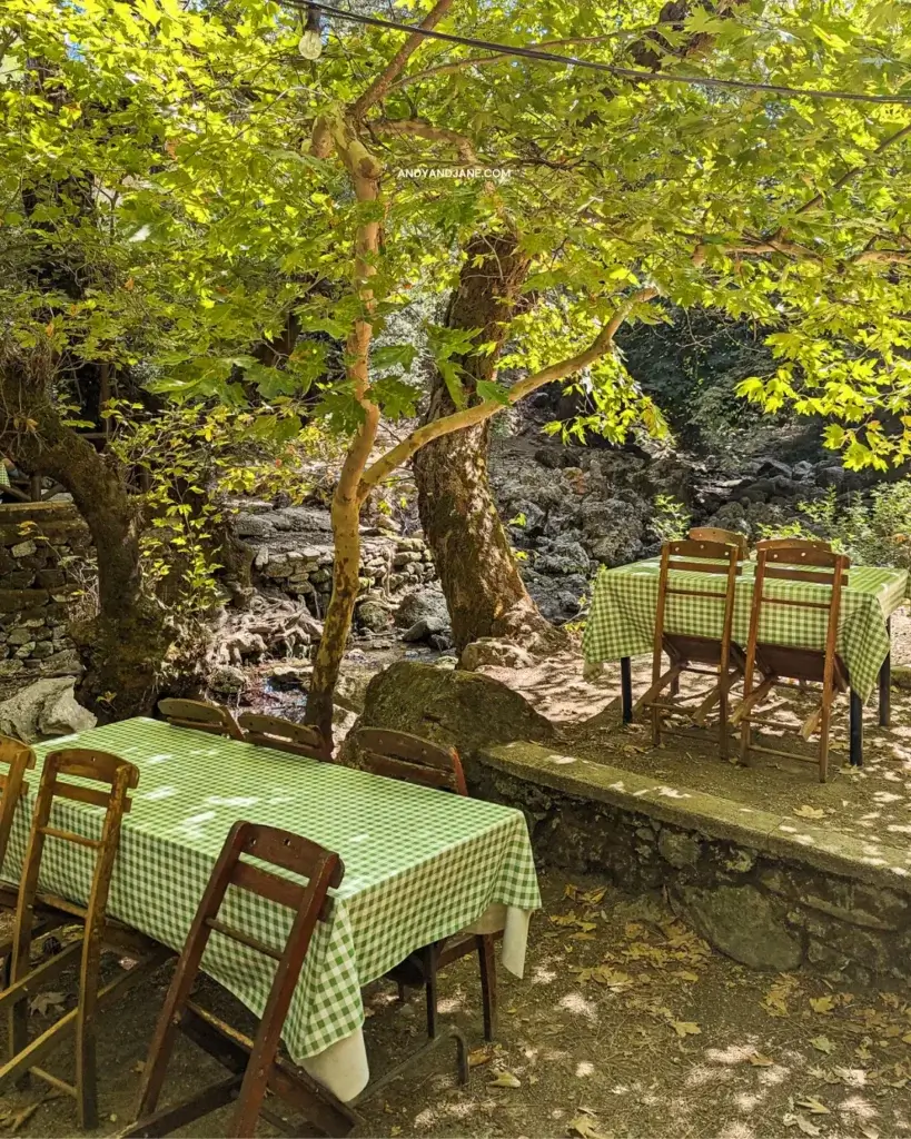 Outdoor dining area at Seven Springs Tavern, with wooden tables and chairs with a green checked tablecloth, under a lush tree canopy.