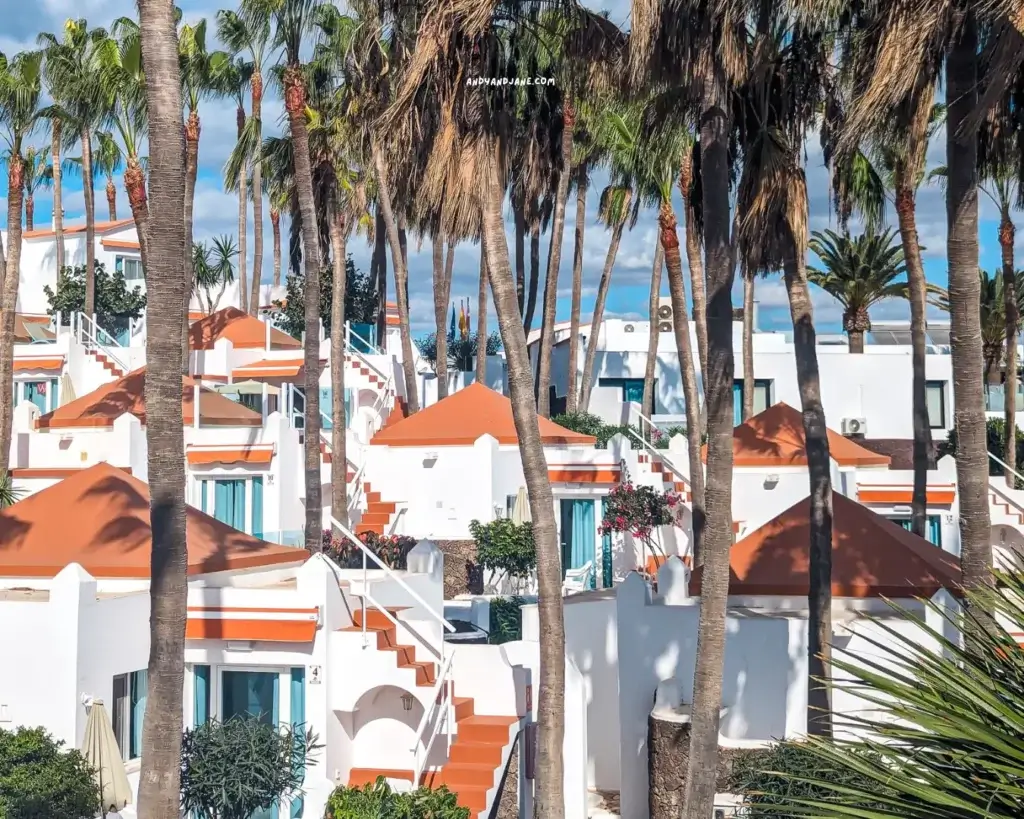 The orange rooftops of small villas in Fuerteventura, covered with large palm trees.