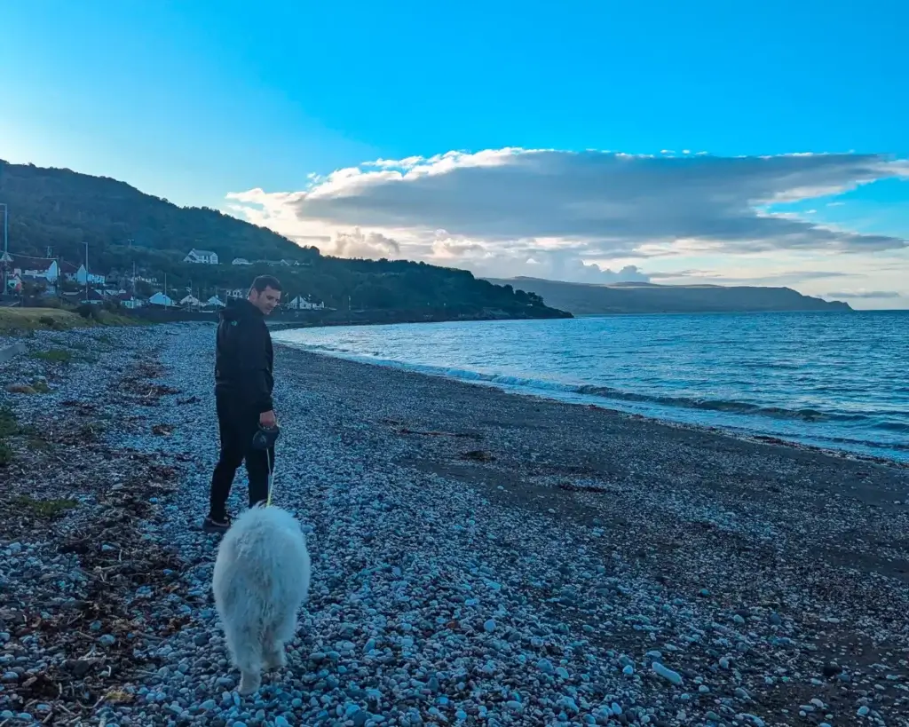 Person with a dog on a pebble beach near the sea, with hills and clear skies in the background.