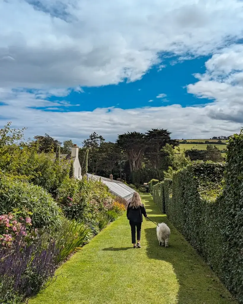 A person with long hair and a dog walk on a neatly trimmed lawn pathway surrounded by the walled gardens of Glenarm Castle under a partly cloudy sky.