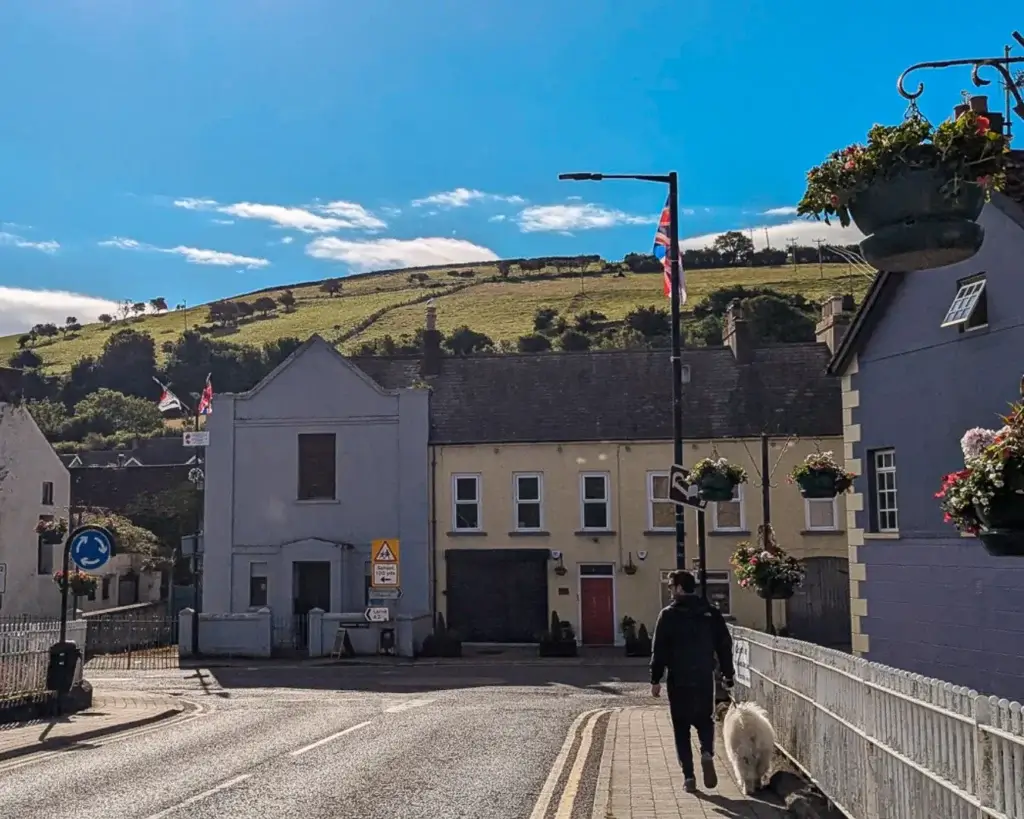 Person walking with a dog on a sunny street in a quaint town with a hill in the background.