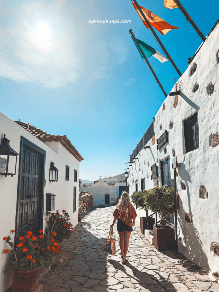 A woman walks through a sunlit cobblestone street, flanked by whitewashed buildings and vibrant flowers under a clear blue sky.