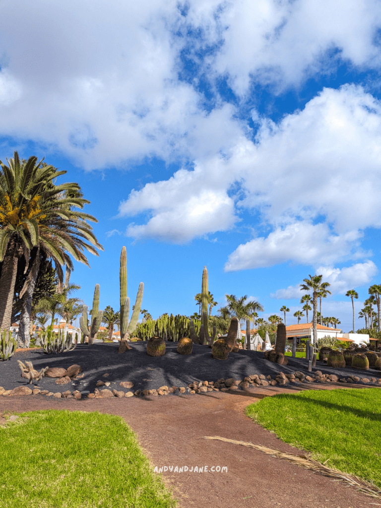 Lush garden with cacti and palm trees in Caleta de Fuste under a bright blue sky with white clouds, featuring a winding path through green grass.