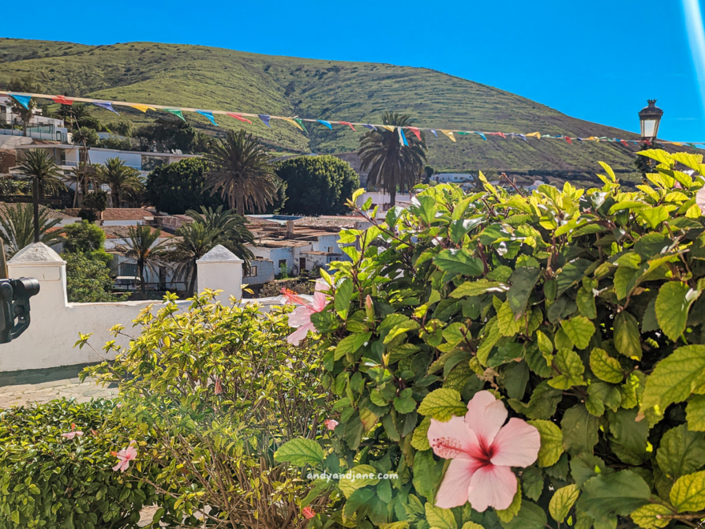 Colorful hibiscus flowers bloom amidst lush greenery, with a backdrop of rolling hills and a clear blue sky.