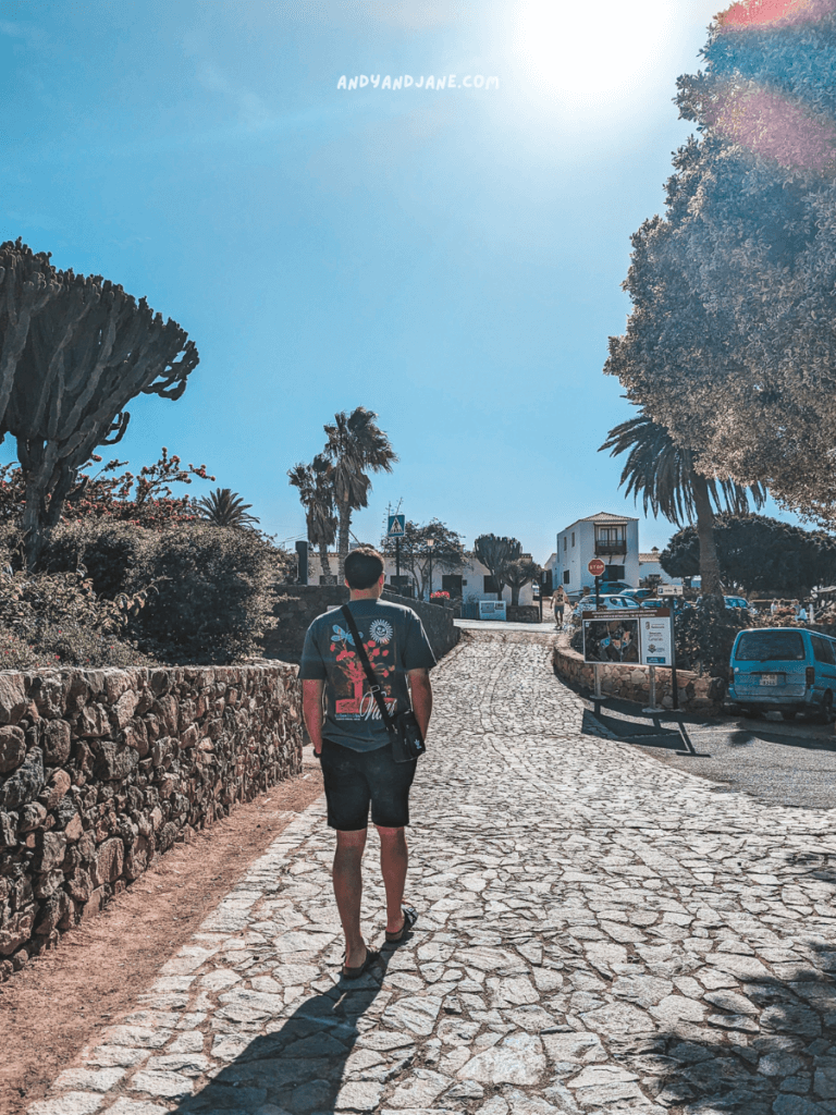 A man walks along a sunlit cobblestone path lined with palm trees and cacti, heading toward a quaint village.