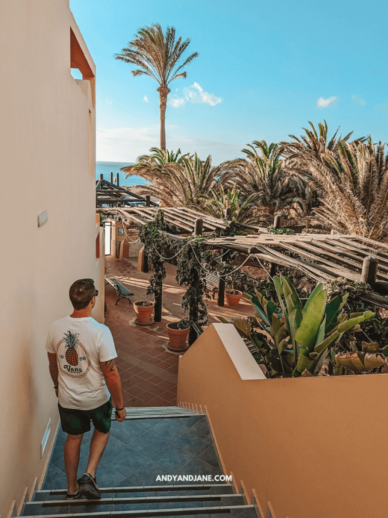 A person walks down outdoor stairs surrounded by lush greenery and palm trees, with a sunny sky and distant ocean visible.