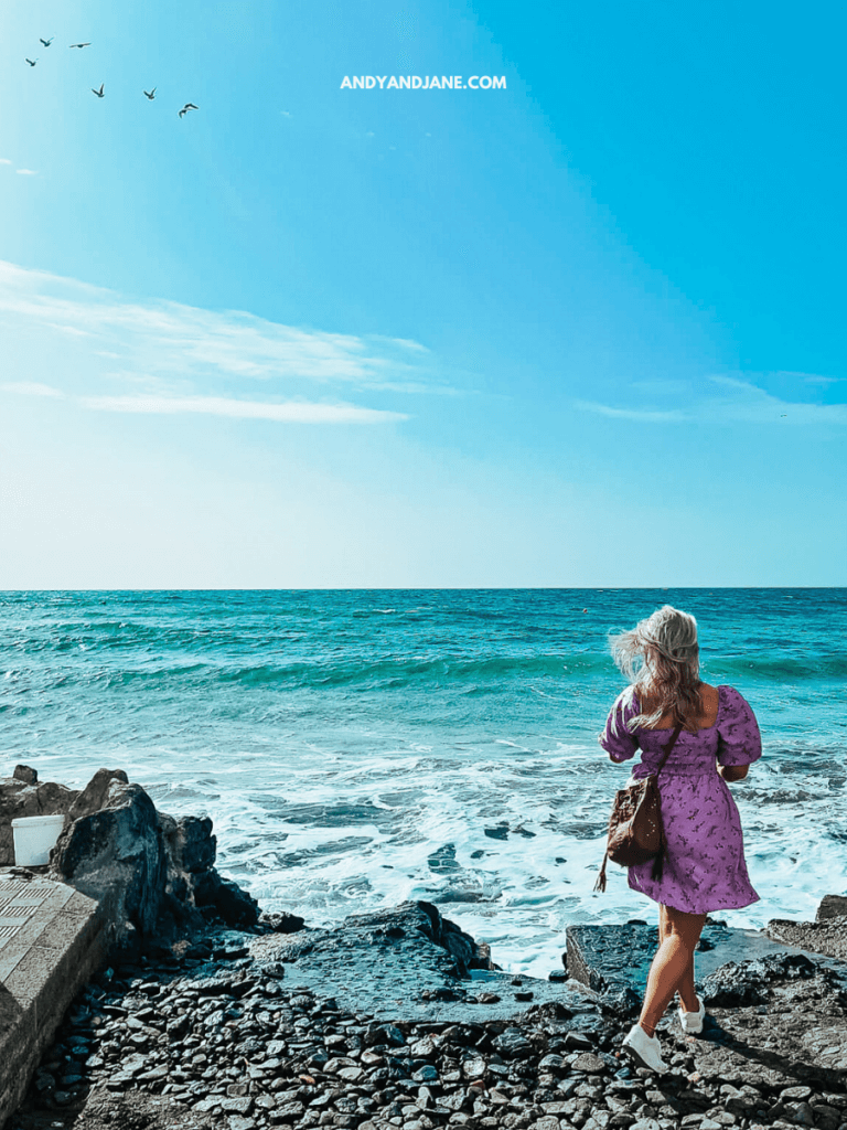 A woman in a lilac dress stands by the rocky shore, gazing at the turquoise sea and clear blue sky, with birds flying overhead.